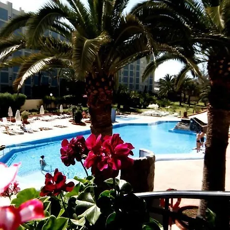 아파트호텔 Agaete Parque & Pool View